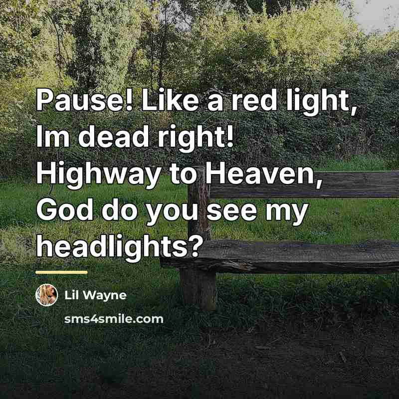 “Pause! Like a red light, Im dead right! Highway to…” quote by Lil Wayne