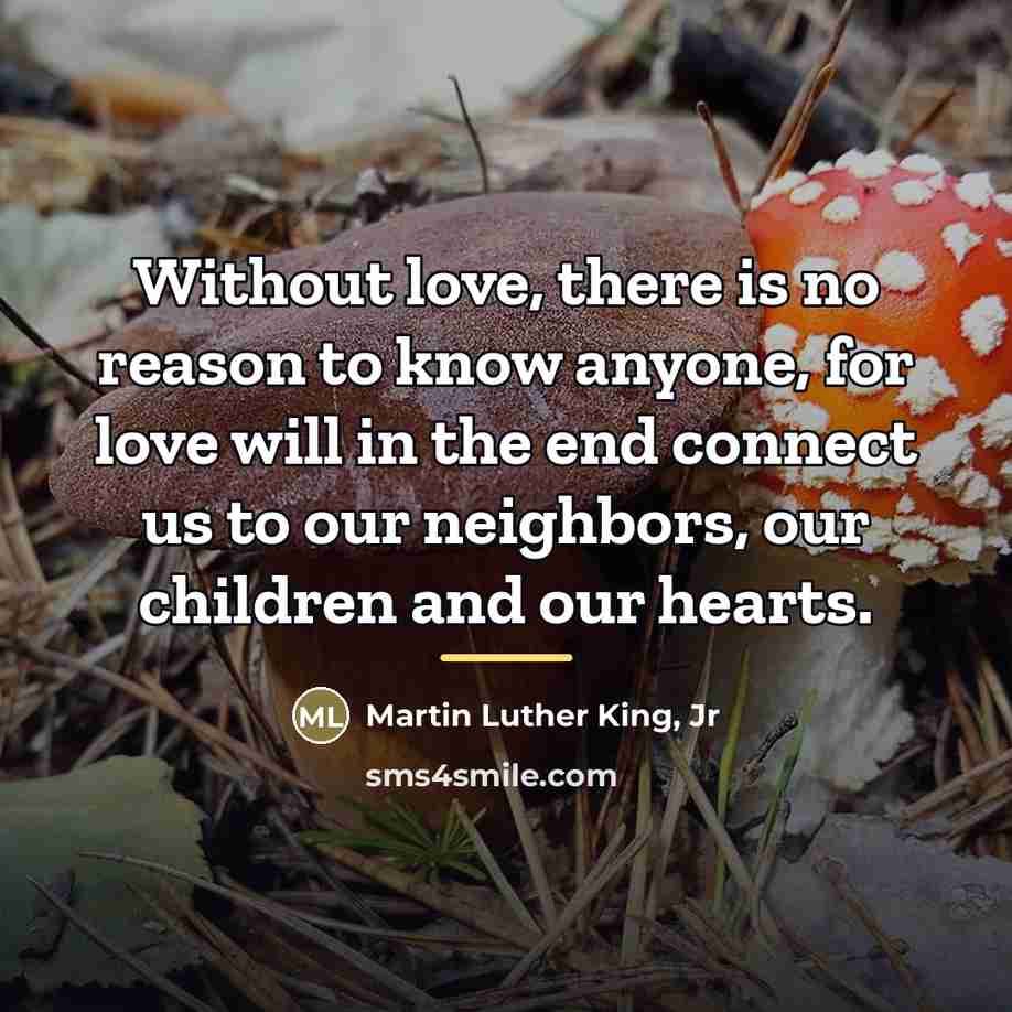 “Without love, there is no reason to know anyone, for…” quote by Martin Luther King, Jr
