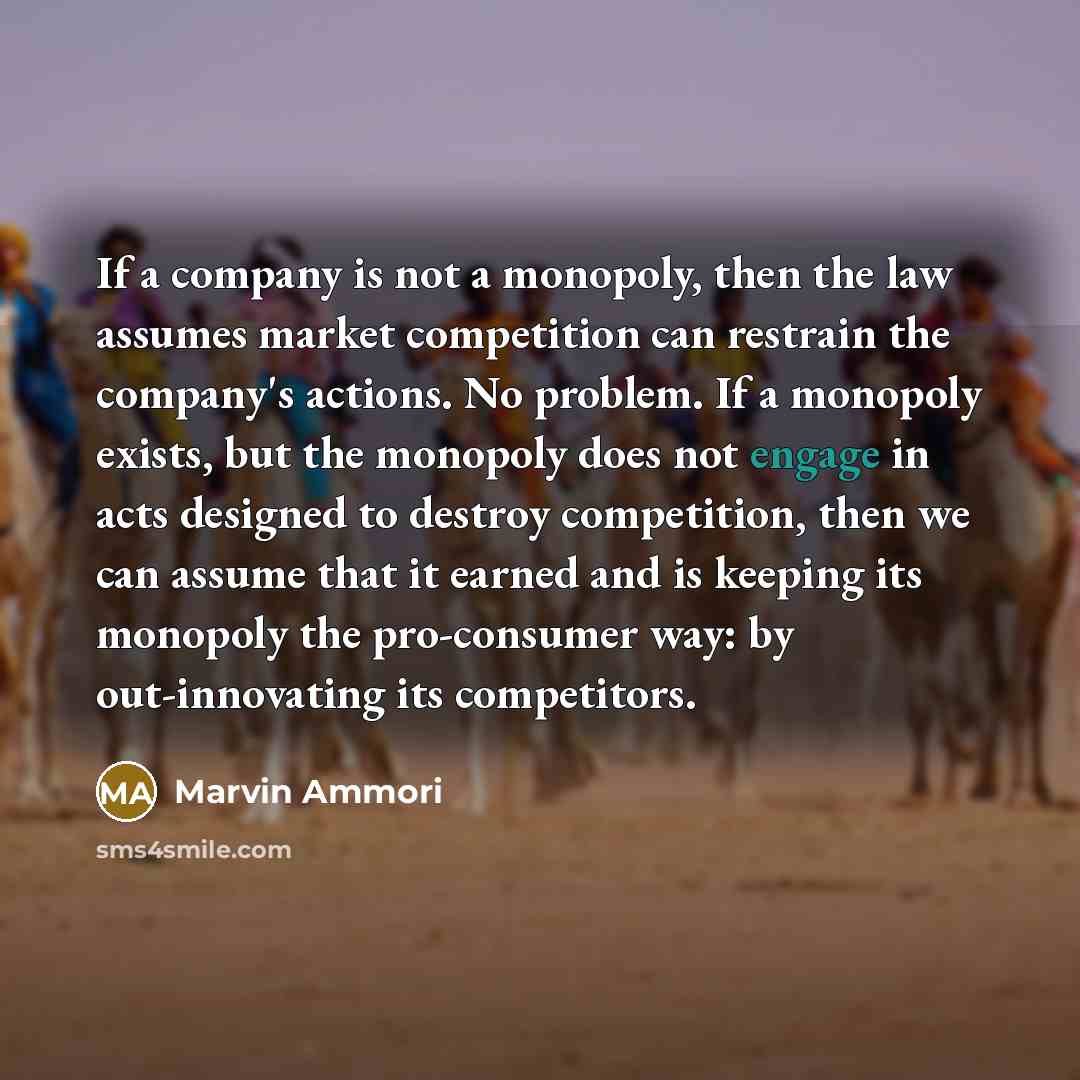 “If a company is not a monopoly, then the law…” quote by Marvin Ammori
