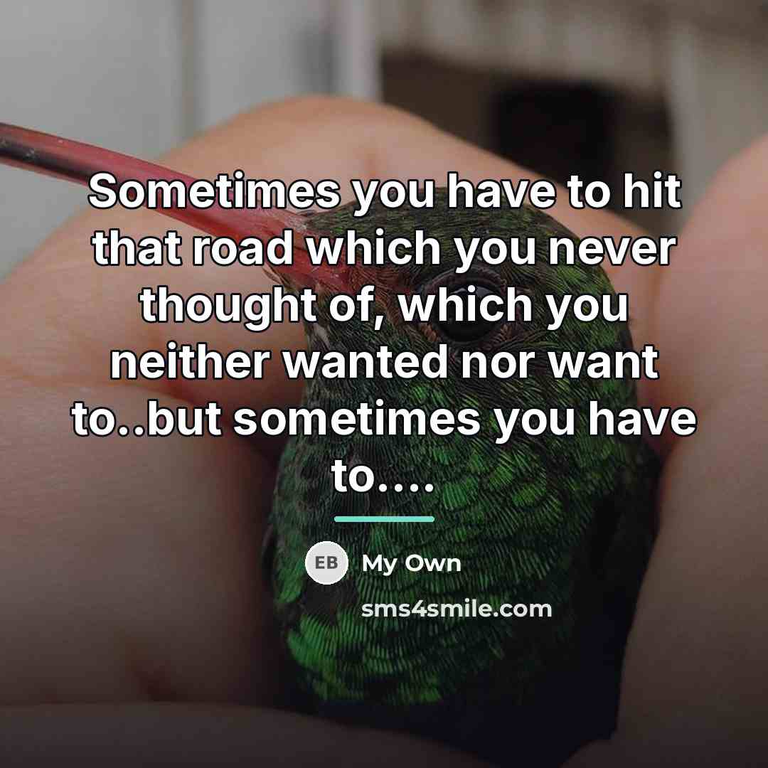 “Sometimes you have to hit that road which you never…” quote by My Own