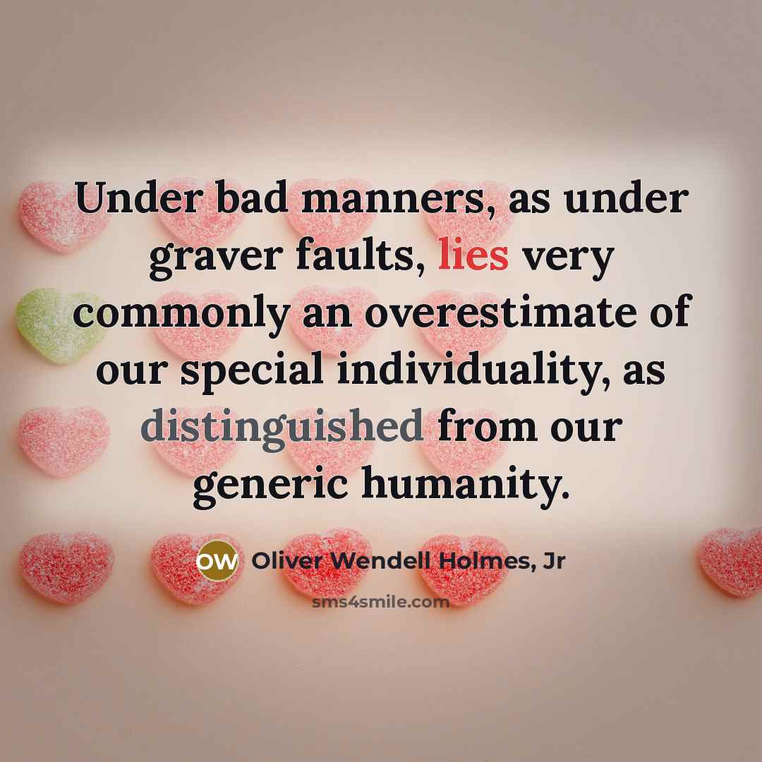 “Under bad manners, as under graver faults, lies very commonly…” quote by Oliver Wendell Holmes, Jr