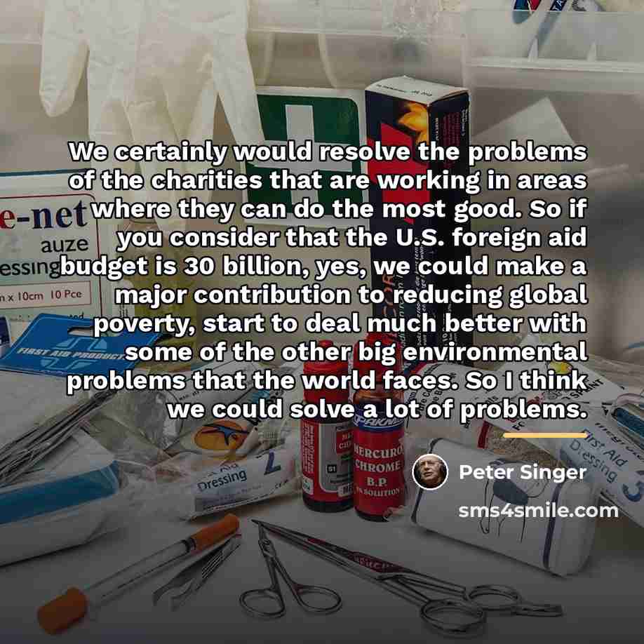 “We certainly would resolve the problems of the charities that…” quote by Peter Singer