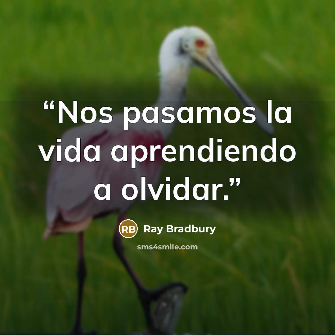 “Nos pasamos la vida aprendiendo a olvidar.” quote by Ray Bradbury