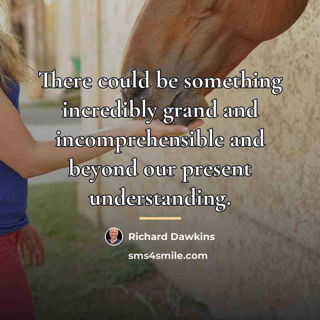 “There could be something incredibly grand and incomprehensible and beyond…” quote by Richard Dawkins