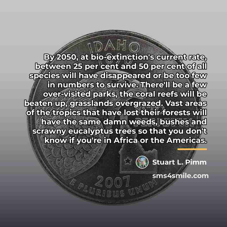 “By 2050, at bio-extinction's current rate, between 25 per cent…” quote by Stuart L. Pimm