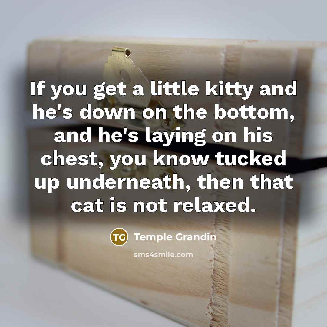 “If you get a little kitty and he's down on…” quote by Temple Grandin