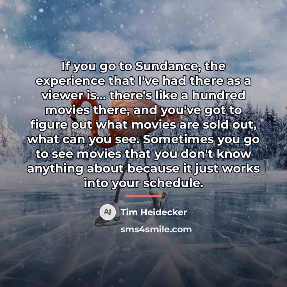 “If you go to Sundance, the experience that I've had…” quote by Tim Heidecker