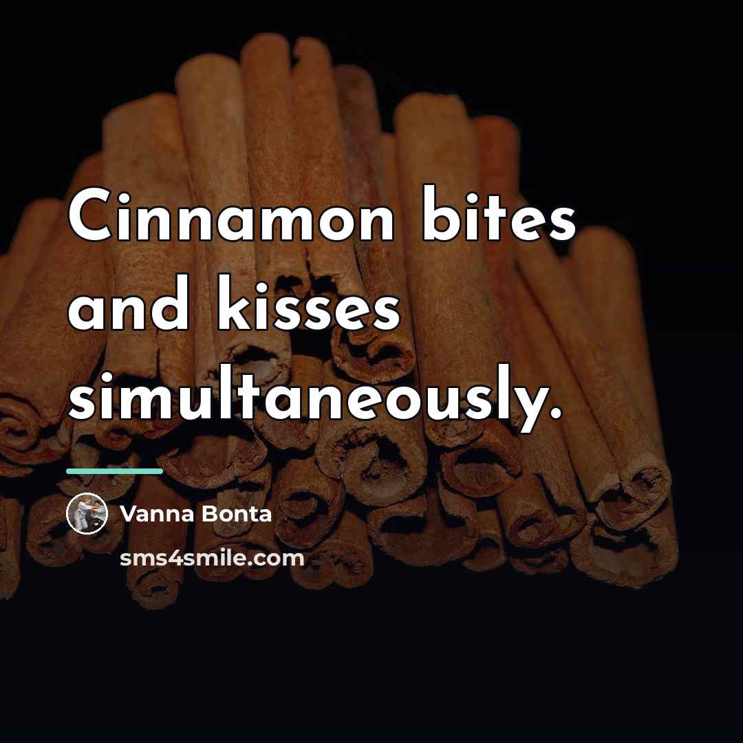 “Cinnamon bites and kisses simultaneously.…” quote by Vanna Bonta