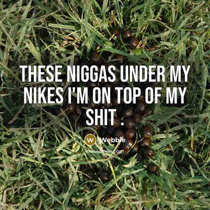 “These niggas under my nikes I'm on top of my shit .” quote by Webbie