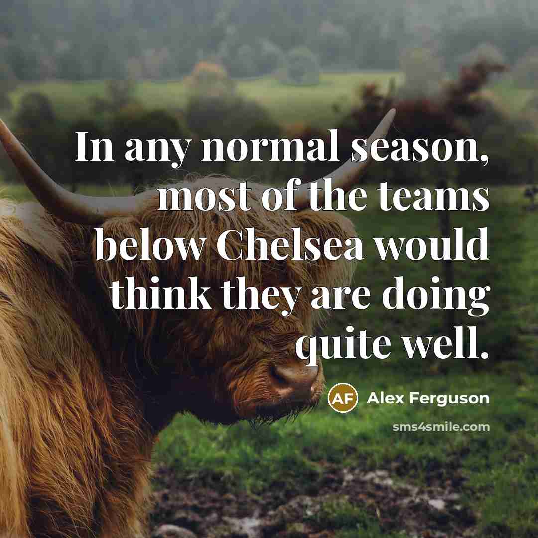 “In any normal season, most of the teams below Chelsea…” quote by Alex Ferguson