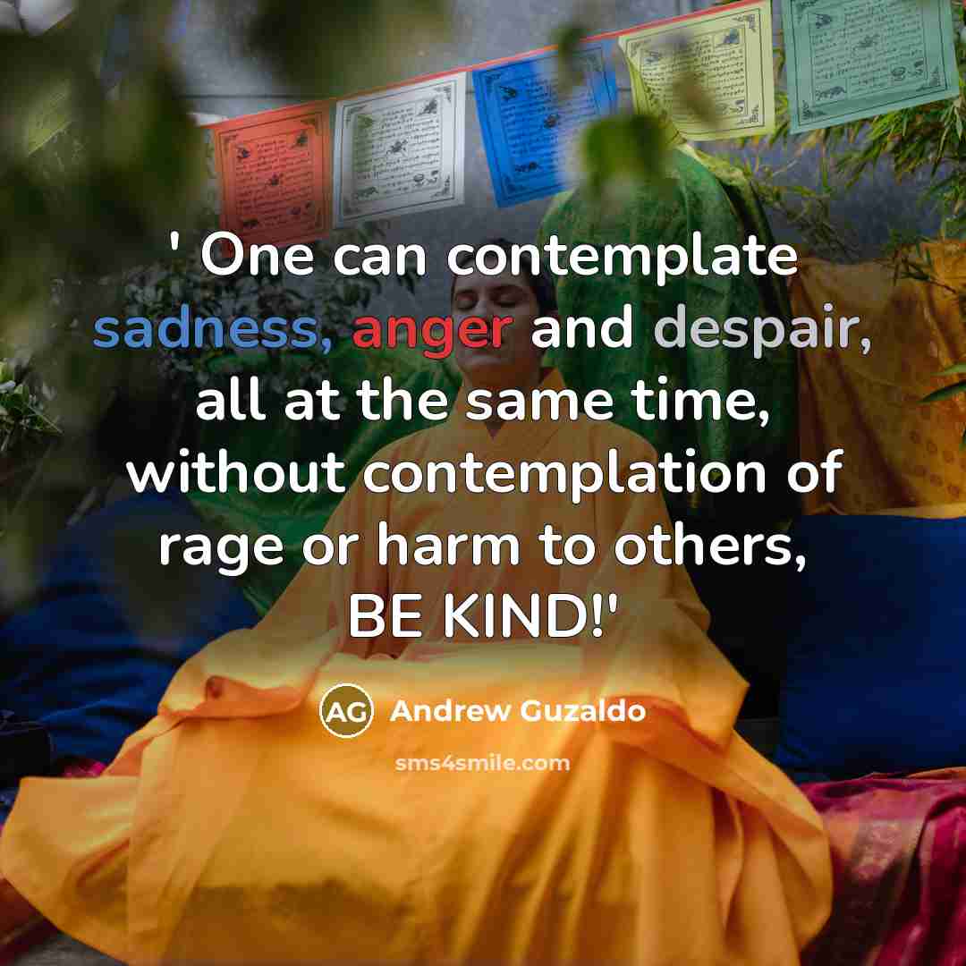 “' One can contemplate sadness, anger and despair, all at the same time, without contemplation of rage or harm to others, BE KIND!'” quote by Andrew Guzaldo