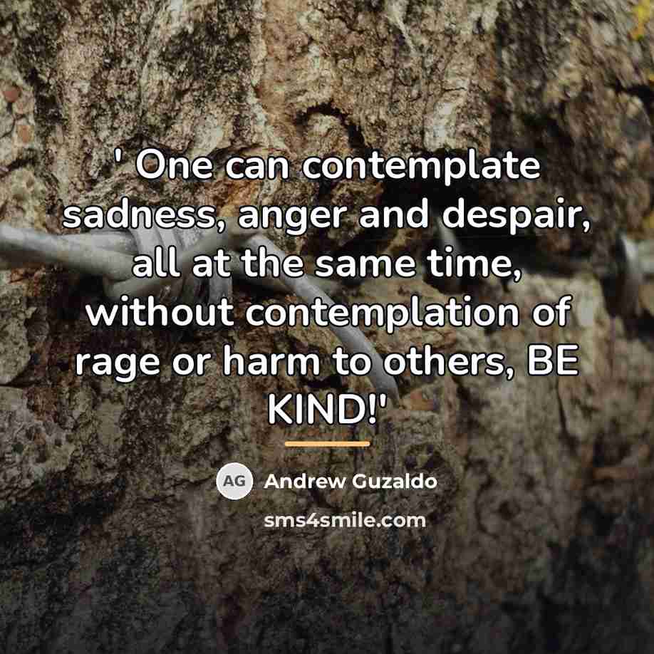 “' One can contemplate sadness, anger and despair, all at…” quote by Andrew Guzaldo