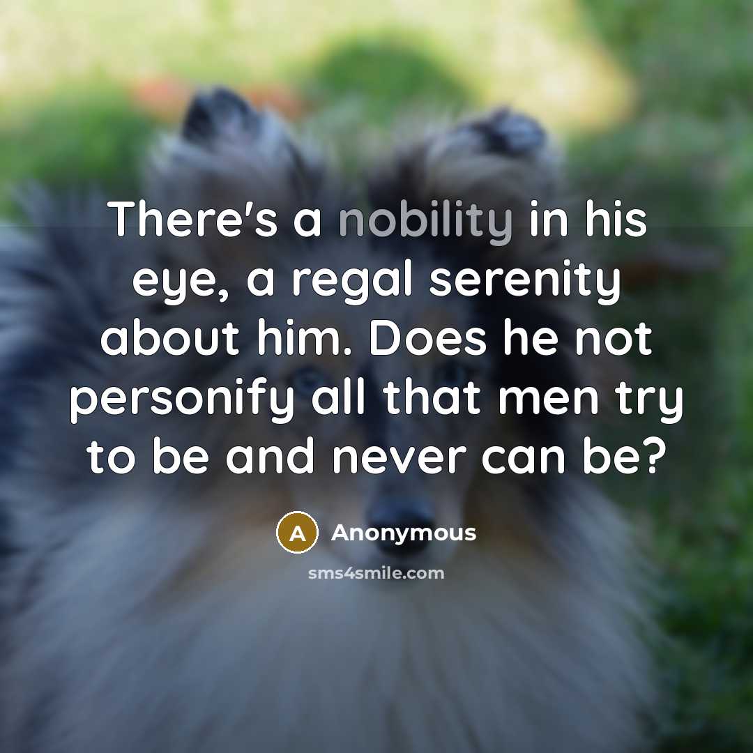 “There's a nobility in his eye, a regal serenity about…” quote by Anonymous
