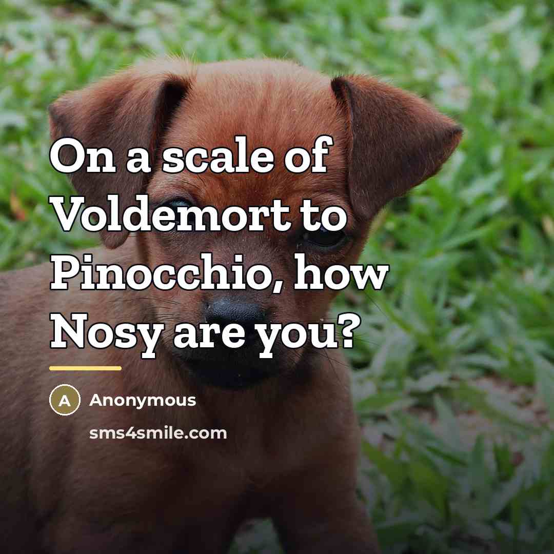 “On a scale of Voldemort to Pinocchio, how Nosy are…” quote by Anonymous