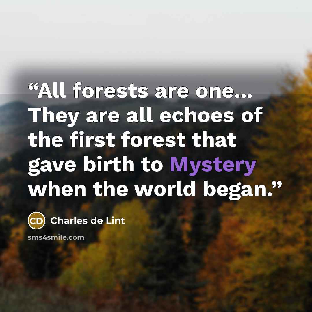 “All forests are one... They are all echoes of the first forest that gave birth to Mystery when the world began.” quote by Charles de Lint