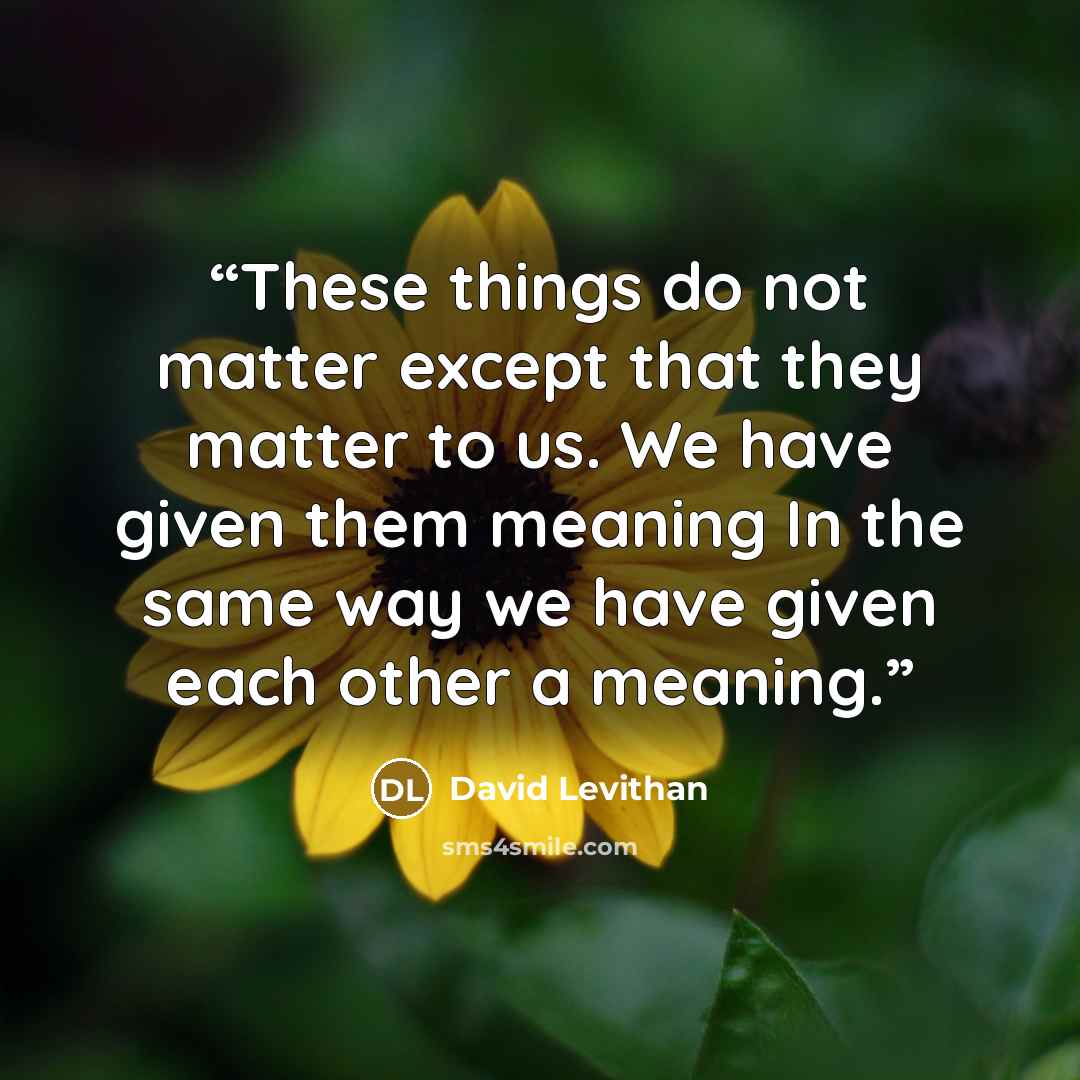 “These things do not matter except that they matter to us. We have given them meaning In the same way we have given each other a meaning.” quote by David Levithan