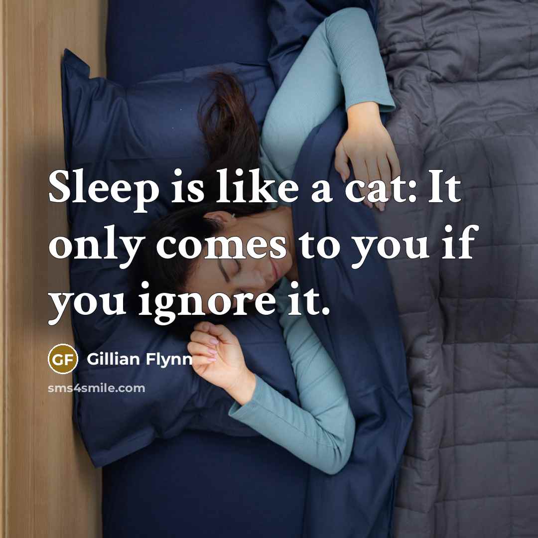 “Sleep is like a cat: It only comes to you…” quote by Gillian Flynn