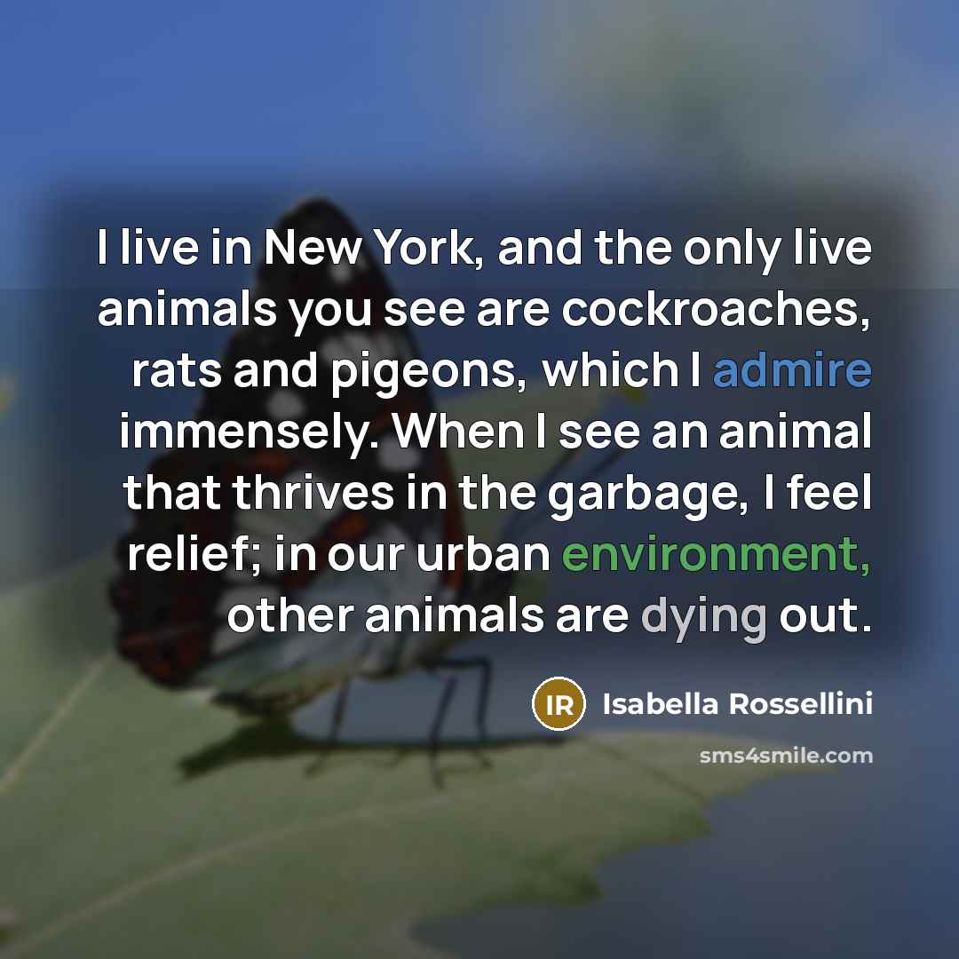 “I live in New York, and the only live animals…” quote by Isabella Rossellini