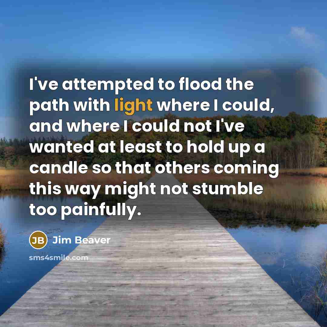 “I've attempted to flood the path with light where I…” quote by Jim Beaver