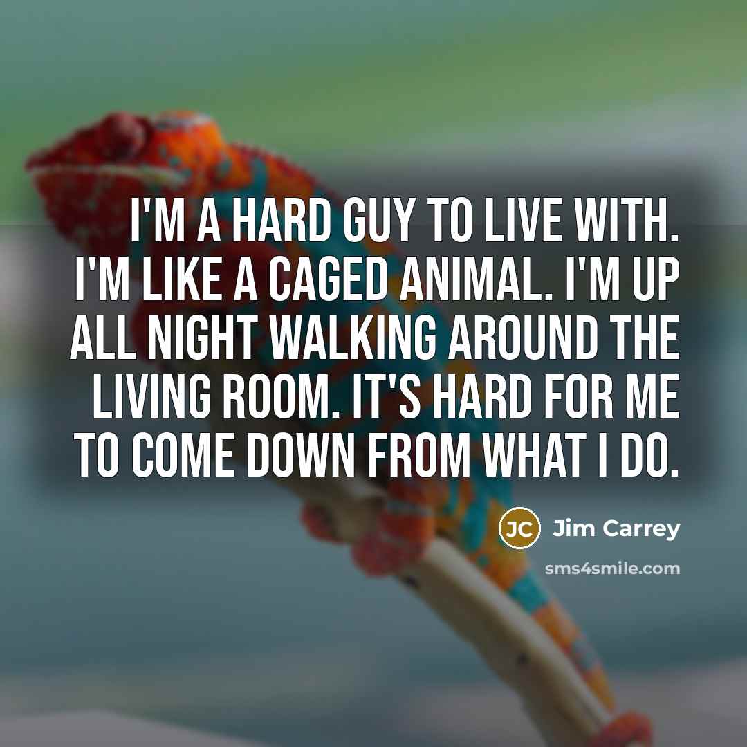 “I'm a hard guy to live with. I'm like a…” quote by Jim Carrey