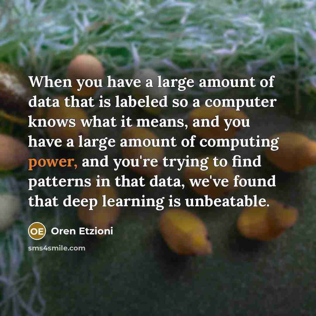 “When you have a large amount of data that is…” quote by Oren Etzioni