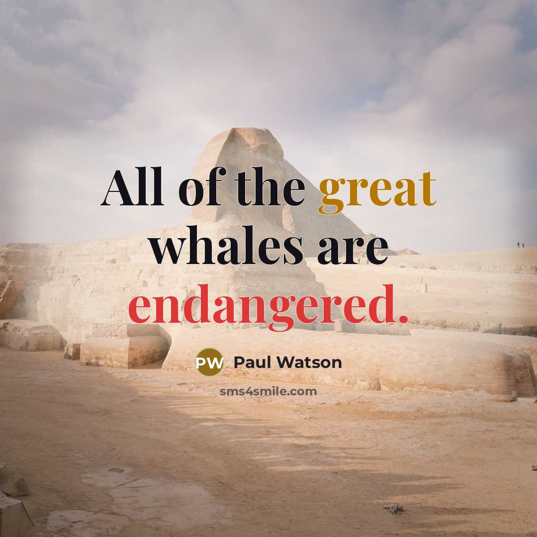 “All of the great whales are endangered.” quote by Paul Watson