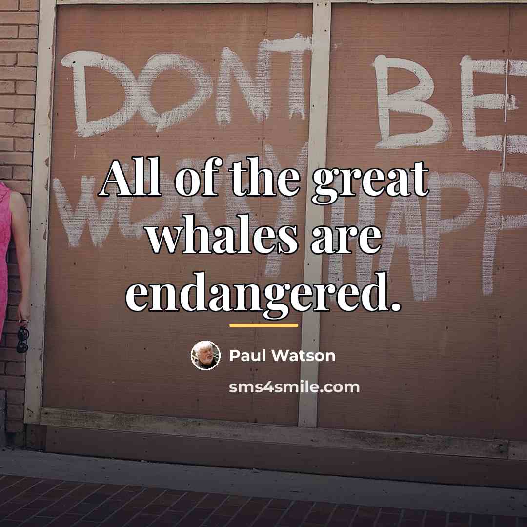 “All of the great whales are endangered.…” quote by Paul Watson