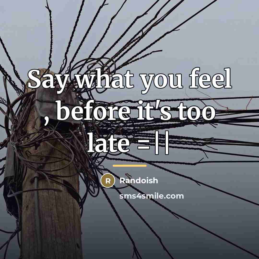 “Say what you feel , before it's too late =||…” quote by Randoish