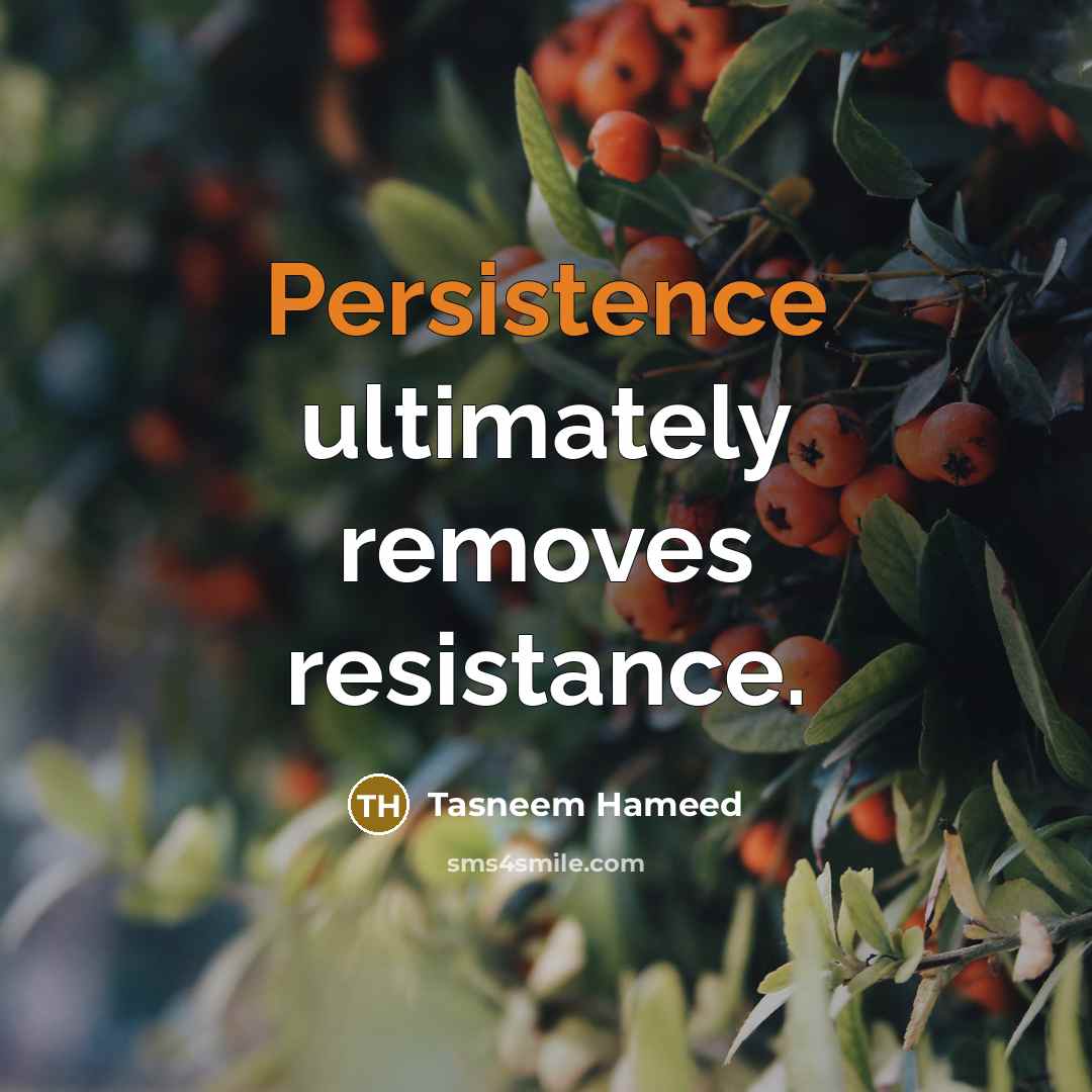 “Persistence ultimately removes resistance.…” quote by Tasneem Hameed