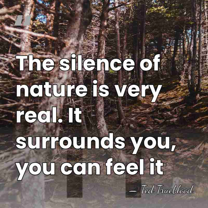 The silence of nature is very real. It surrounds you, you can&hellip; - Ted Trueblood