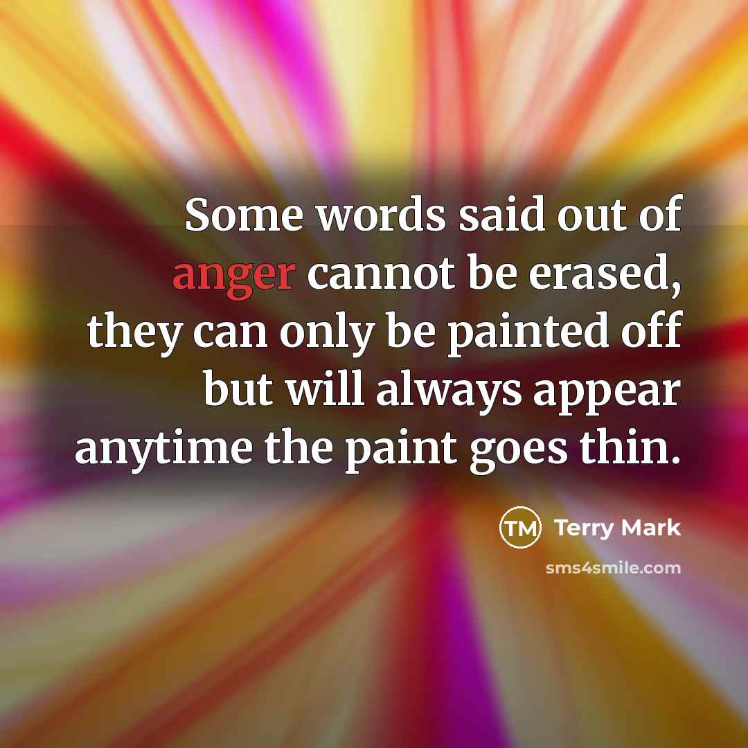 “Some words said out of anger cannot be erased, they…” quote by Terry Mark