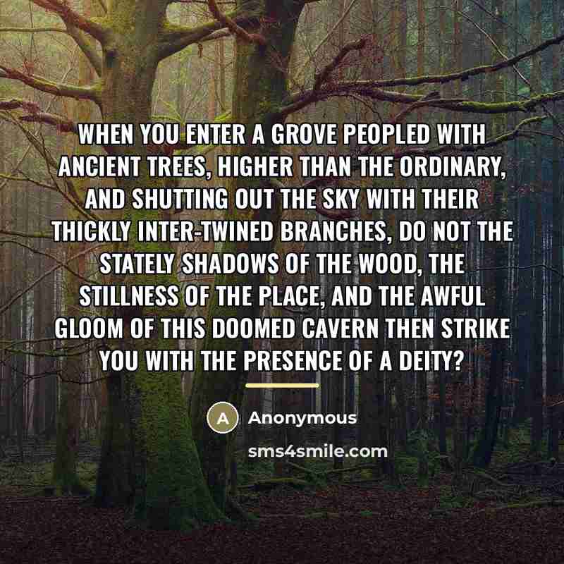 “When you enter a grove peopled with ancient trees, higher…” quote by Anonymous