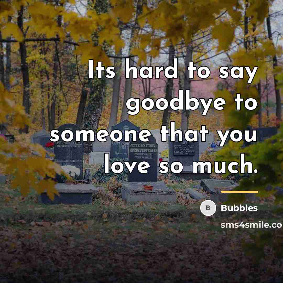 “Its hard to say goodbye to someone that you love…” quote by Bubbles