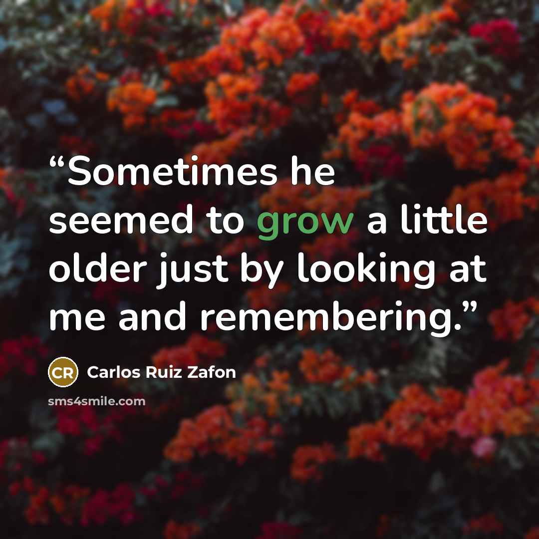 “Sometimes he seemed to grow a little older just by looking at me and remembering.” quote by Carlos Ruiz Zafón