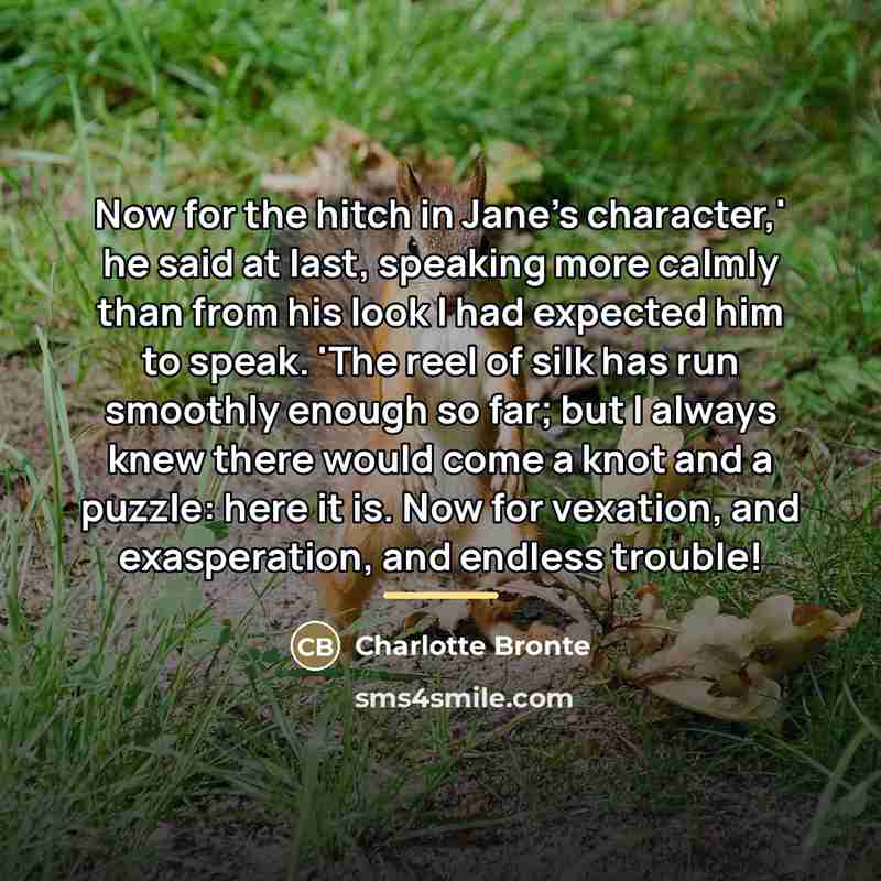 “Now for the hitch in Jane's character,' he said at…” quote by Charlotte Bronte