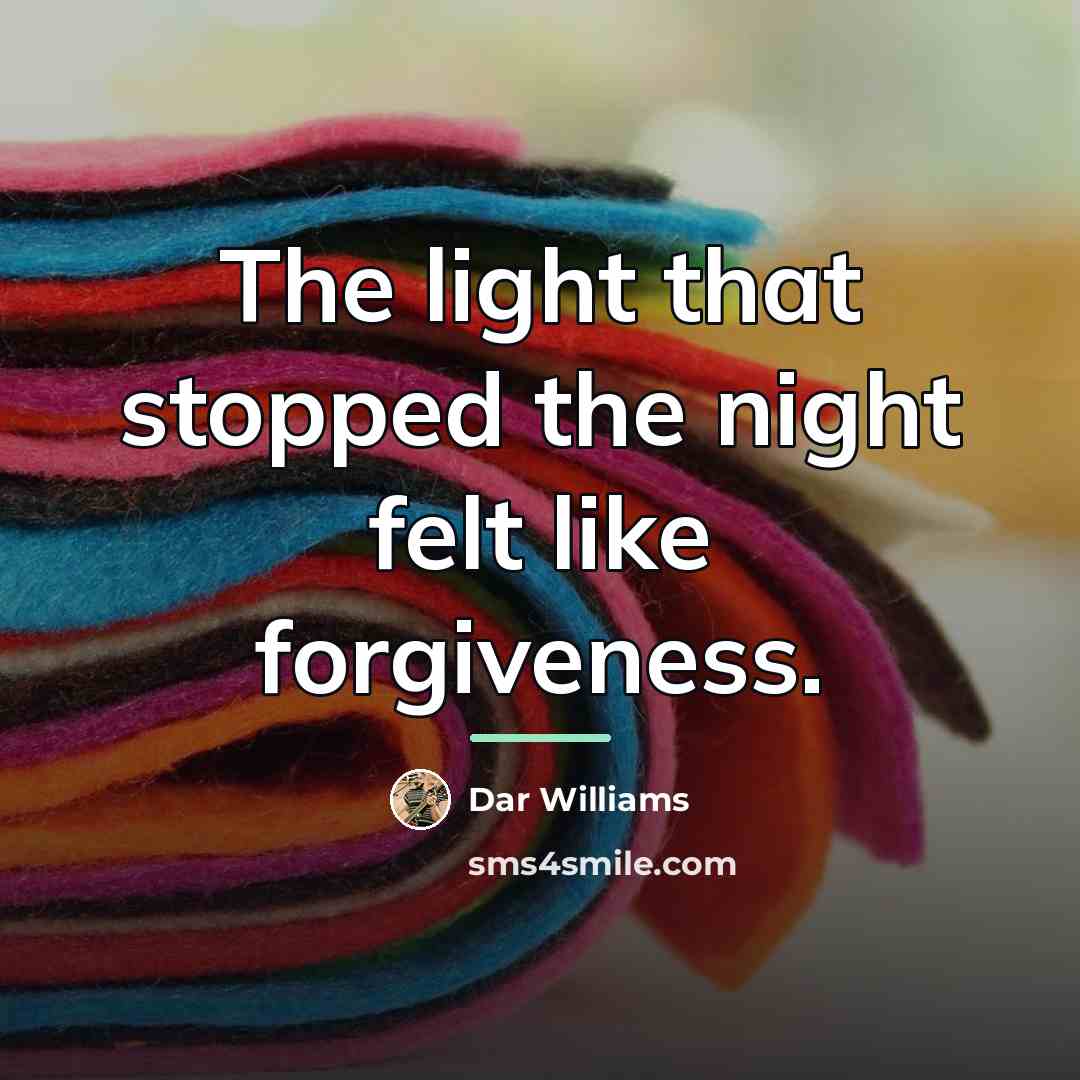 “The light that stopped the night felt like forgiveness.…” quote by Dar Williams