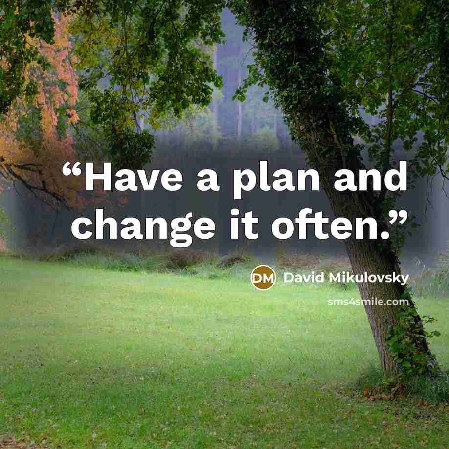 “Have a plan and change it often.” quote by David Mikulovsky