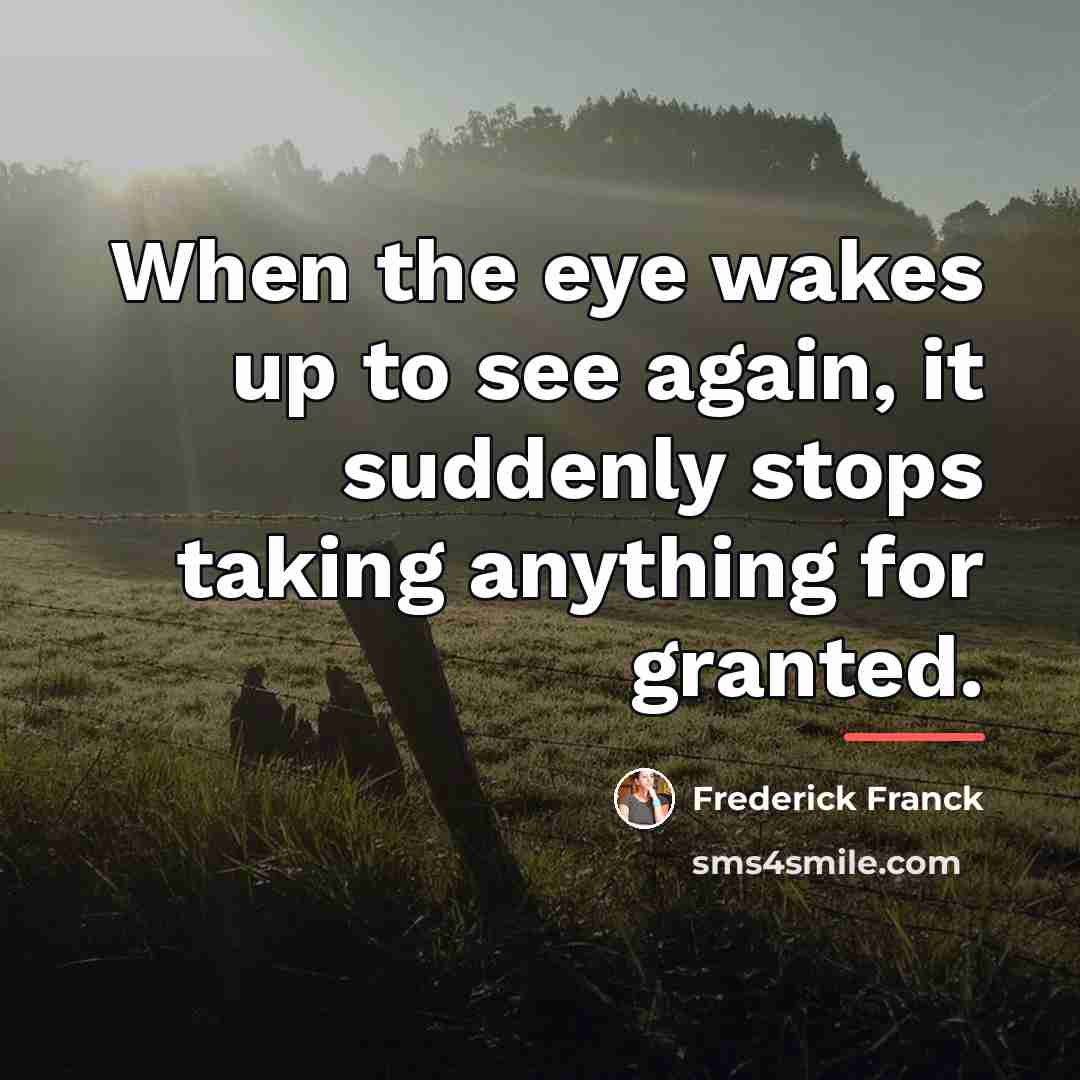 “When the eye wakes up to see again, it suddenly…” quote by Frederick Franck
