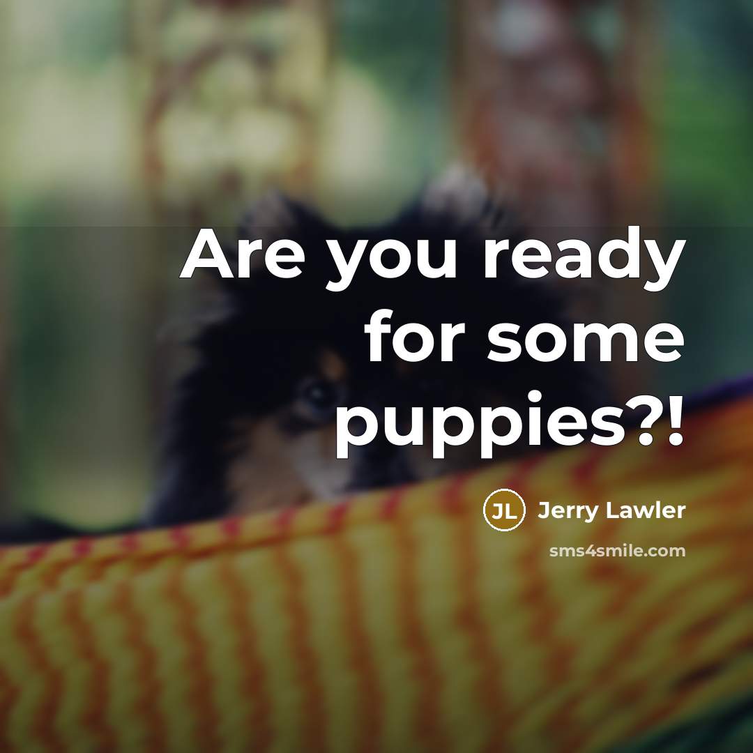 “Are you ready for some puppies?!…” quote by Jerry Lawler