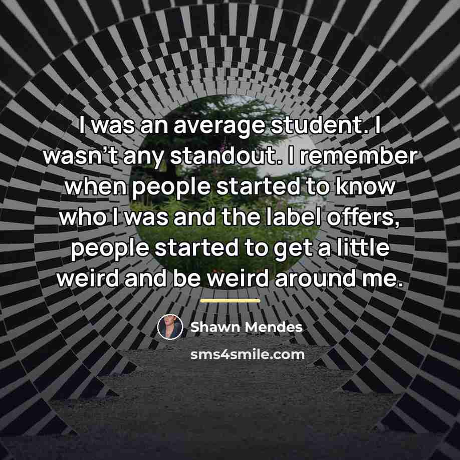 “I was an average student. I wasn't any standout. I…” quote by Shawn Mendes