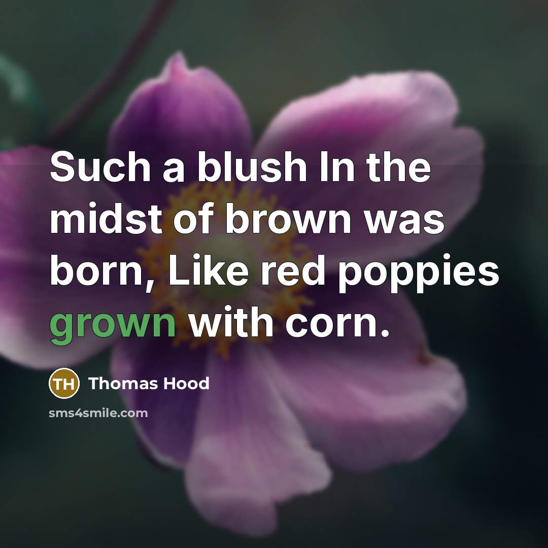 “Such a blush In the midst of brown was born, Like red poppies grown with corn.” quote by Thomas Hood