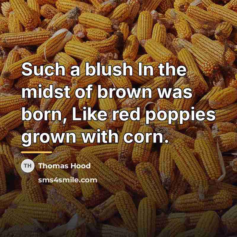 “Such a blush In the midst of brown was born,…” quote by Thomas Hood
