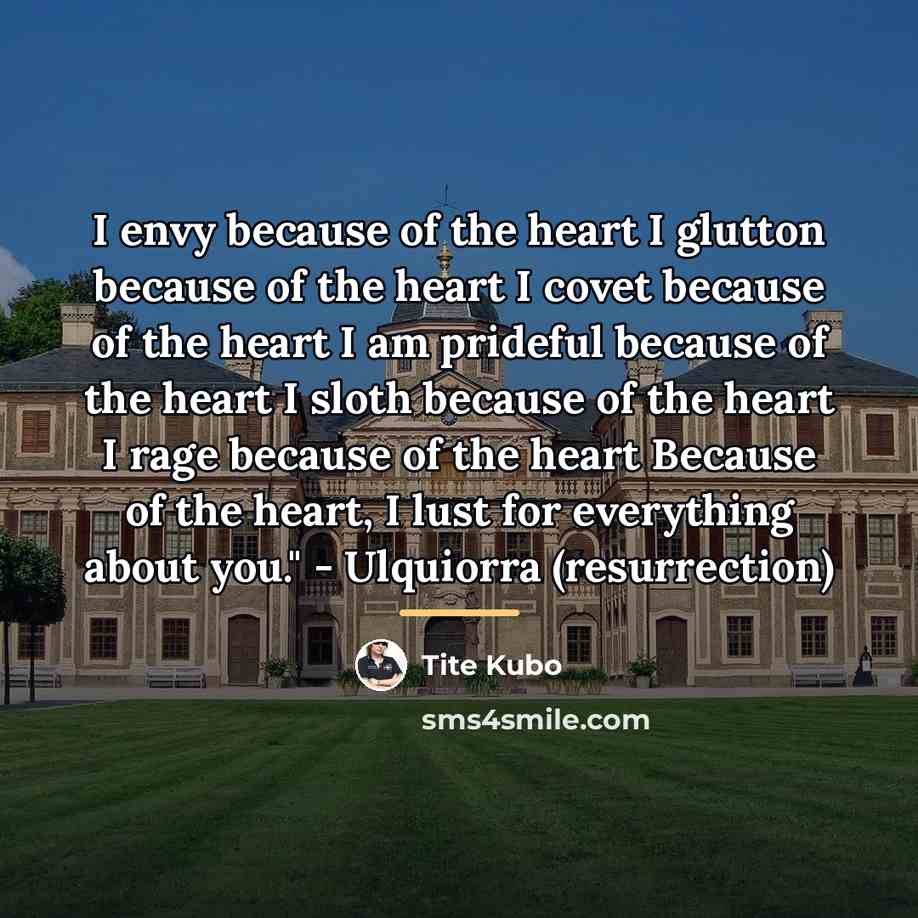 “I envy because of the heart I glutton because of…” quote by Tite Kubo