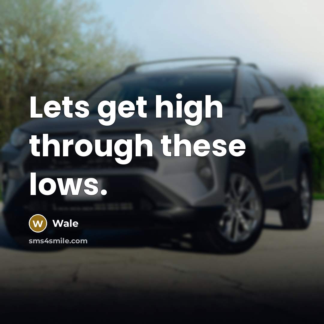 “Lets get high through these lows.” quote by Wale