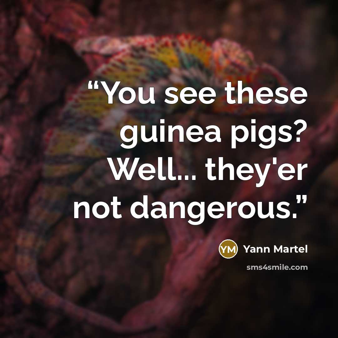 “You see these guinea pigs? Well... they'er not dangerous.” quote by Yann Martel