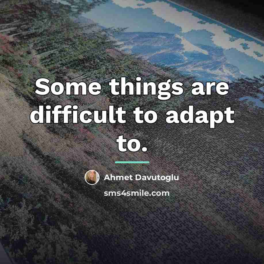 “Some things are difficult to adapt to.…” quote by Ahmet Davutoglu
