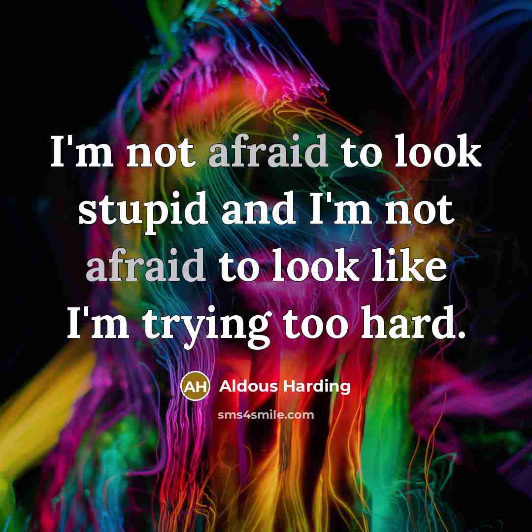 “I'm not afraid to look stupid and I'm not afraid…” quote by Aldous Harding