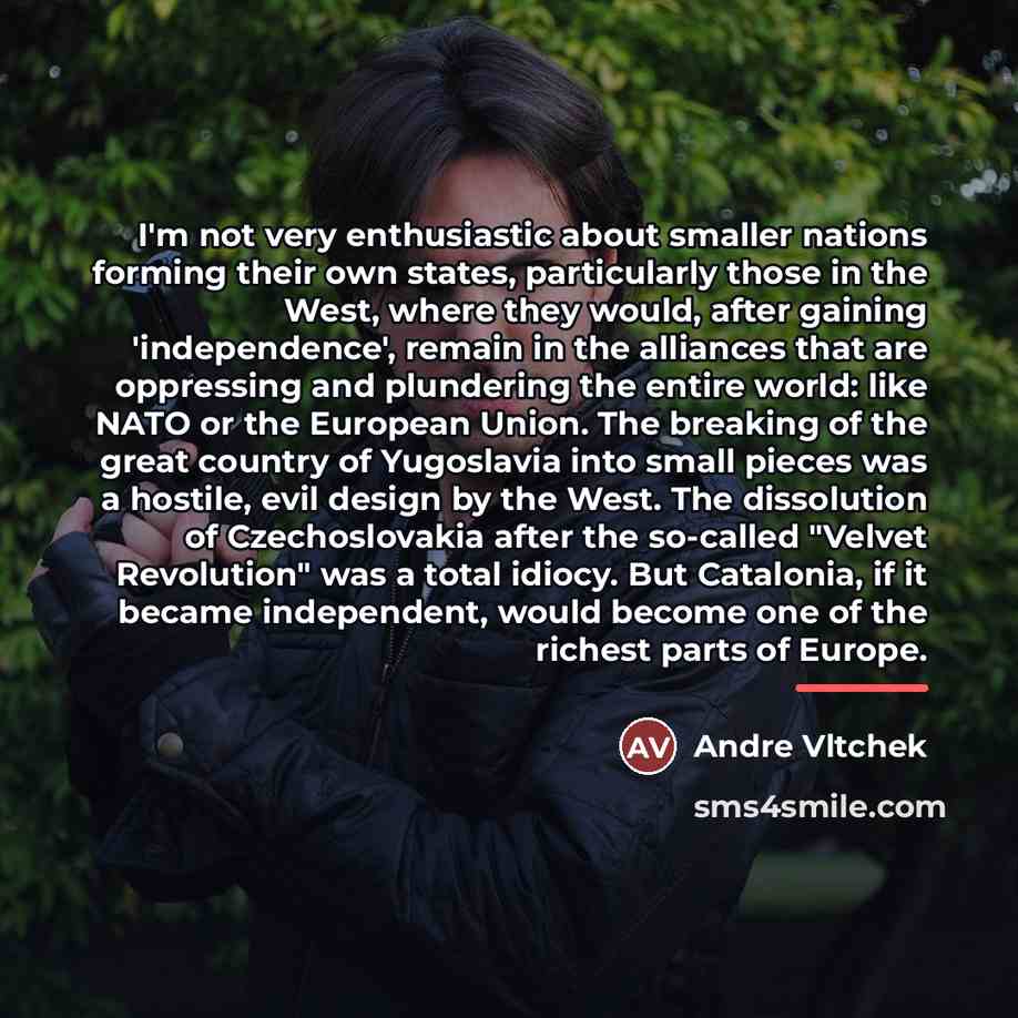 “I'm not very enthusiastic about smaller nations forming their own…” quote by Andre Vltchek