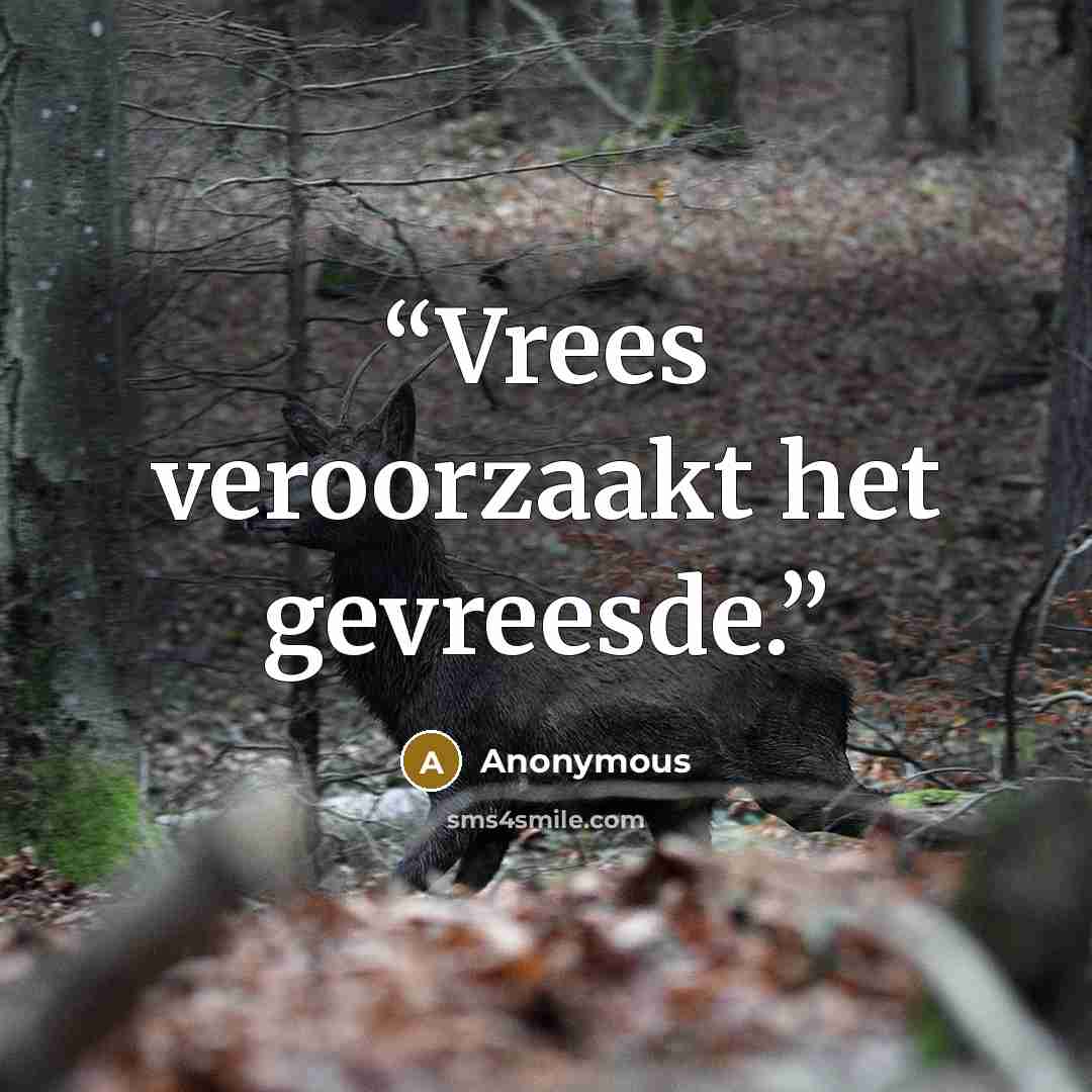 “Vrees veroorzaakt het gevreesde.” quote by Anonymous