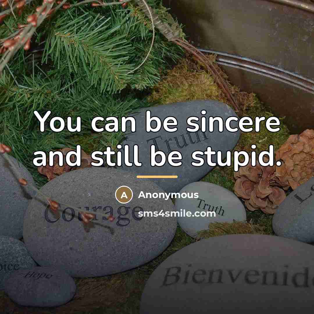 “You can be sincere and still be stupid.…” quote by Anonymous